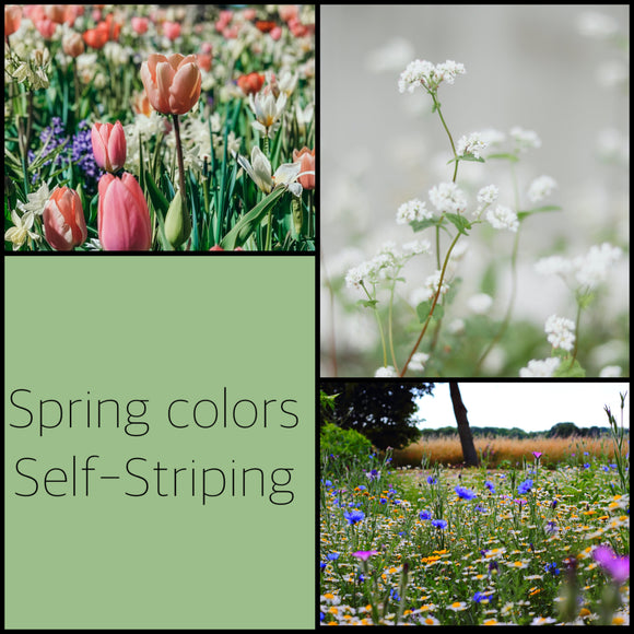 Spring colors dye to order self striping