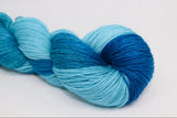 Deep Sea Oasis  2020 color of the year Kettle Dyed