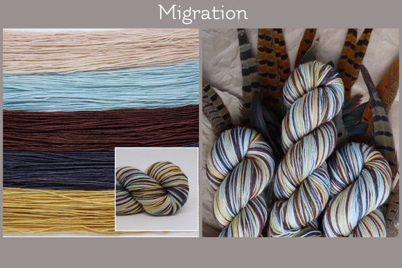 Dyed to  Order Migration Self Striping Fall