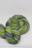 Dyed to Order Stinky Cat Self Striping