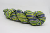 Dyed to Order Stinky Cat Self Striping