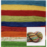 Dyed to Order Hungry Caterpillar Self Striping Sock Yarn